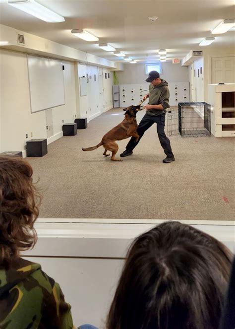 BOCES students learn from NYSP, canines